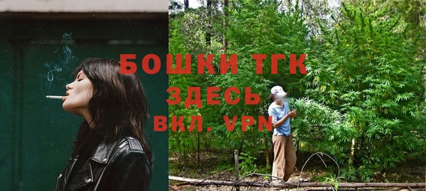 кокс Елизово
