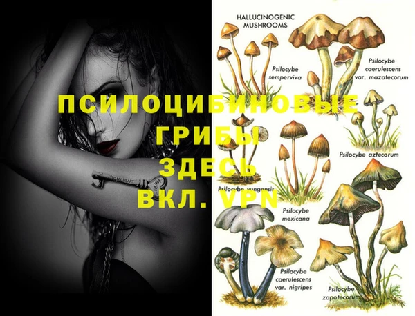 амф Абаза