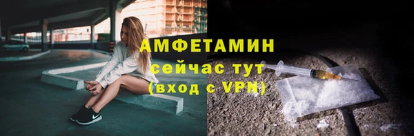 ECSTASY Ельня