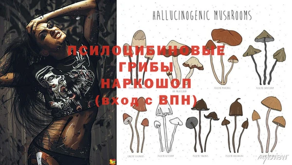 прущие крисы Абдулино