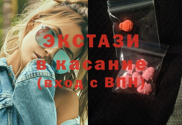 ECSTASY Ельня