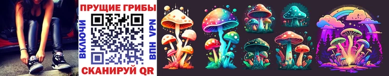 Псилоцибиновые грибы Psilocybe  Ясный 