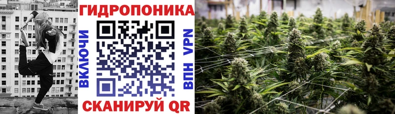 Марихуана конопля  ссылка на мегу рабочий сайт  Ясный 